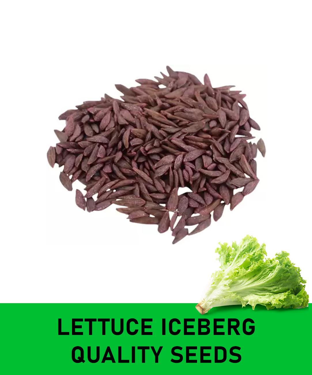 Crisp Cascade Iceberg Lettuce Seeds